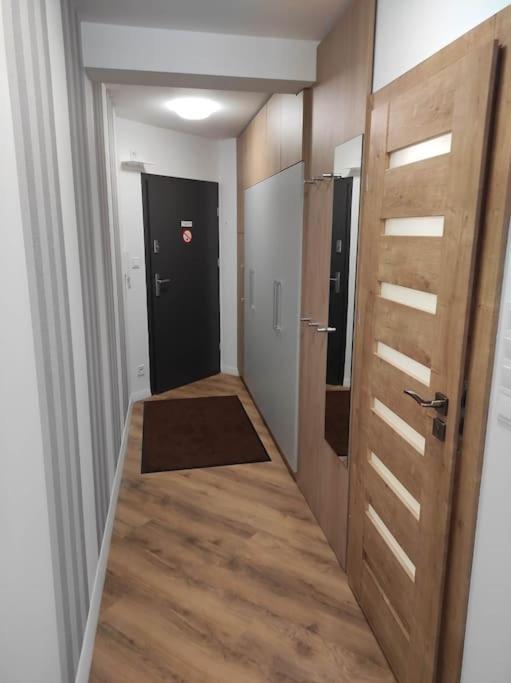 Apartament 17 Szklarski Szklarska Poreba Dış mekan fotoğraf